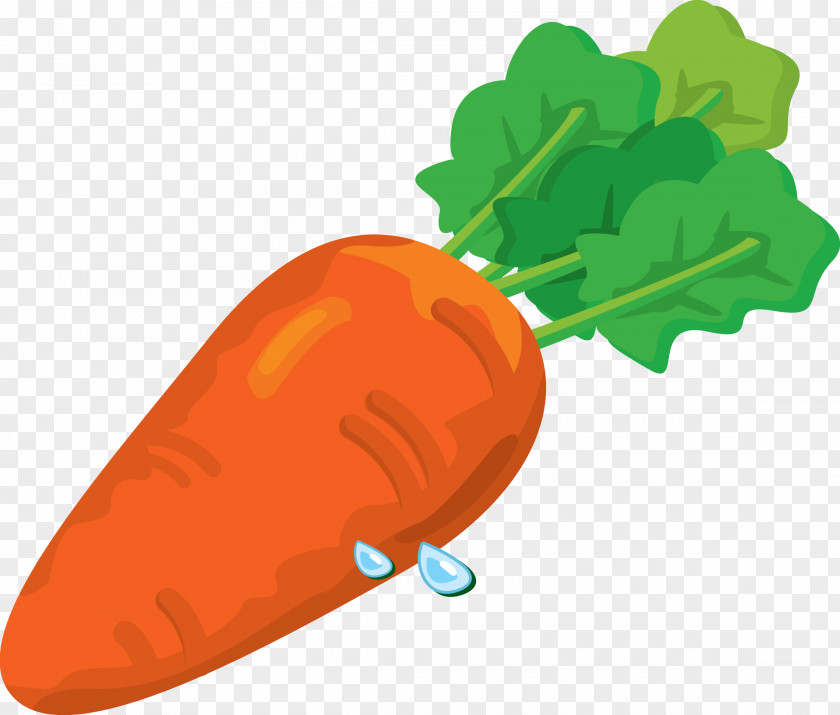 Carrot Image Baby Clip Art PNG
