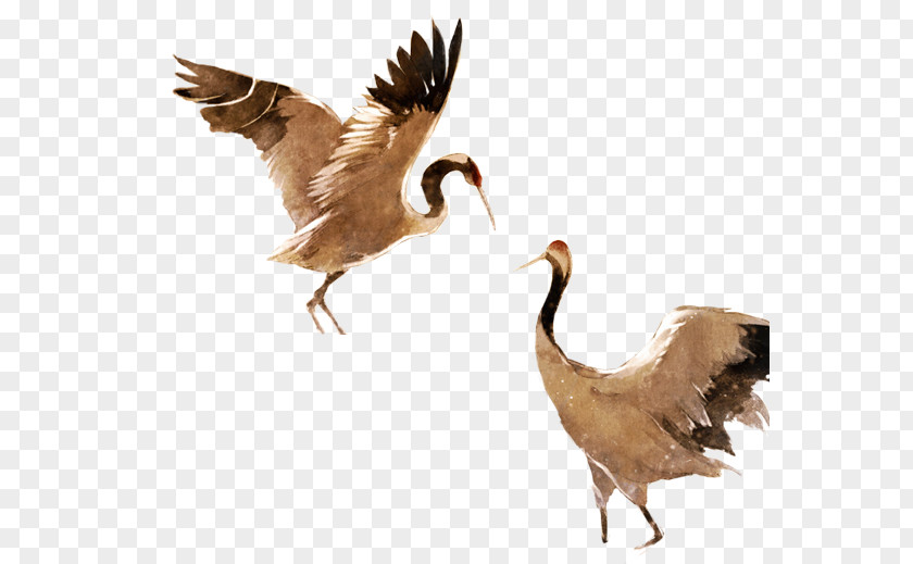 Crane Chinese Painting Ink PNG