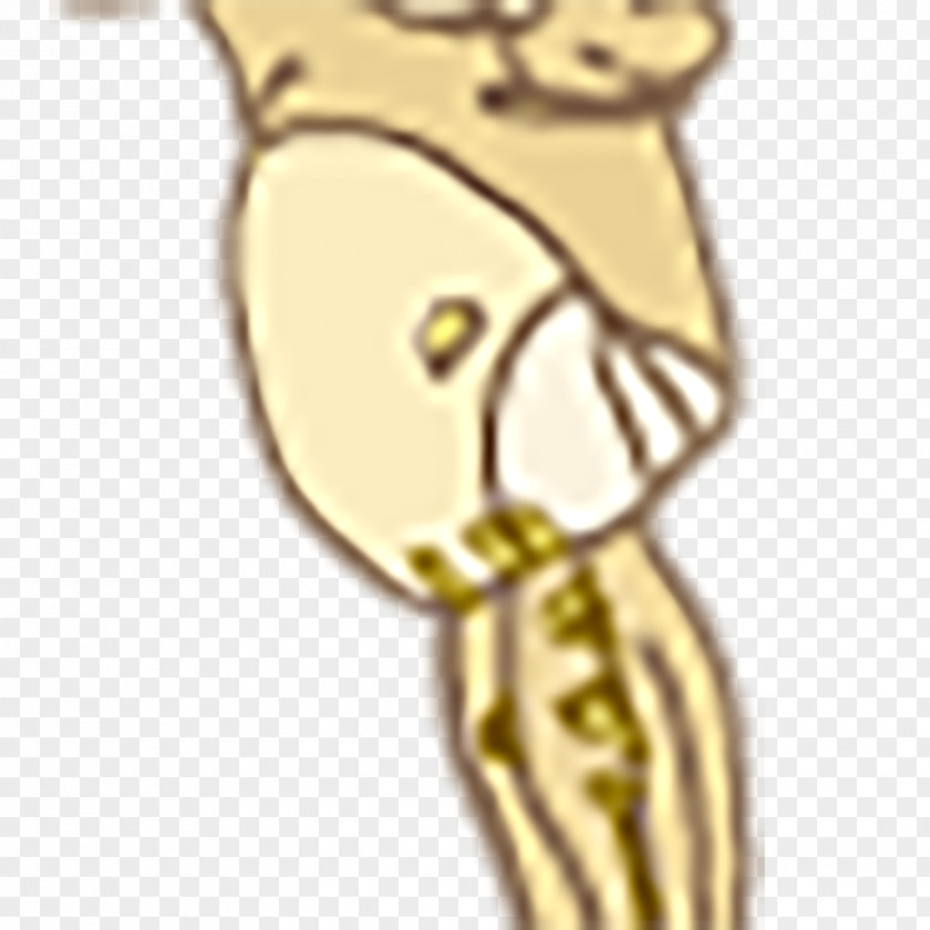 Dog Nervous System Brain Gold Cartoon Body Jewellery Giraffids PNG