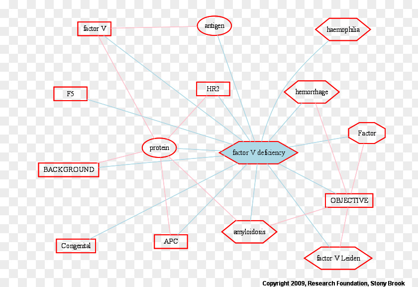 Line Organization Point PNG