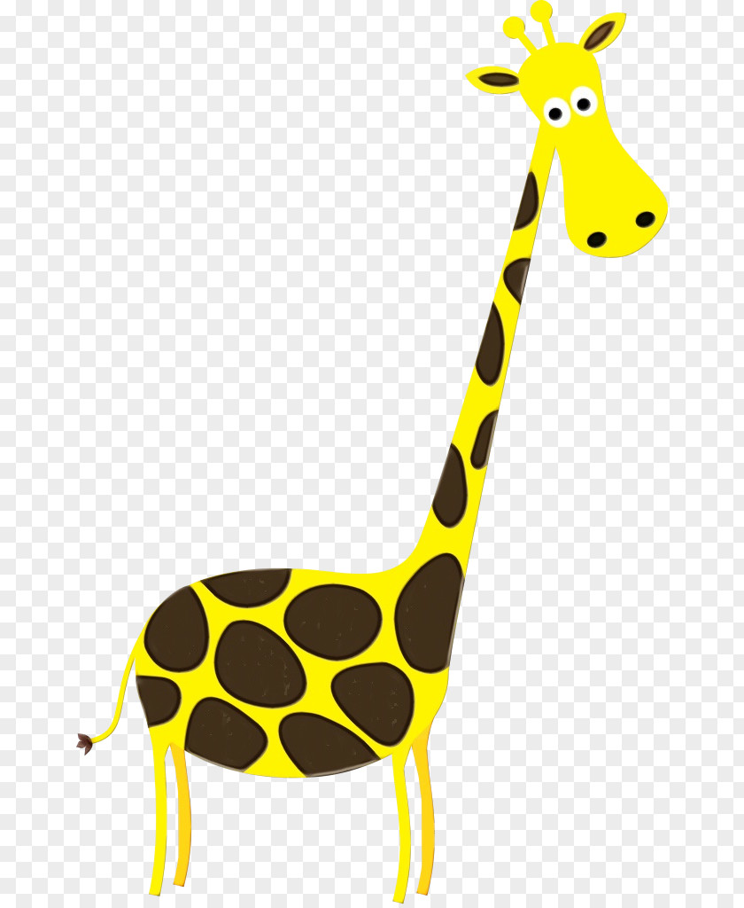Snout Wildlife Giraffe Giraffidae Terrestrial Animal Yellow Clip Art PNG