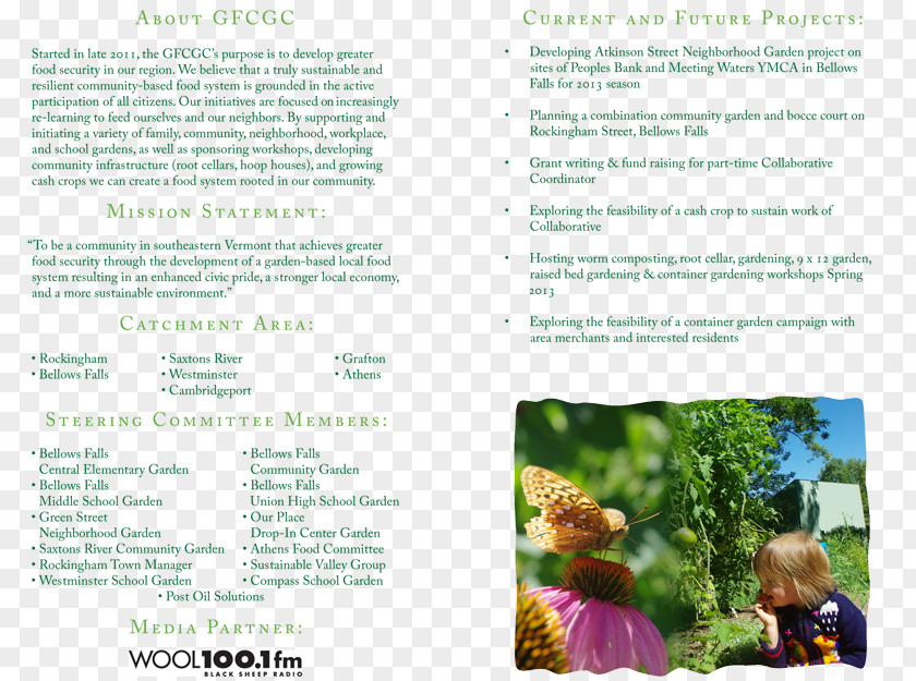 Tree Brochure PNG