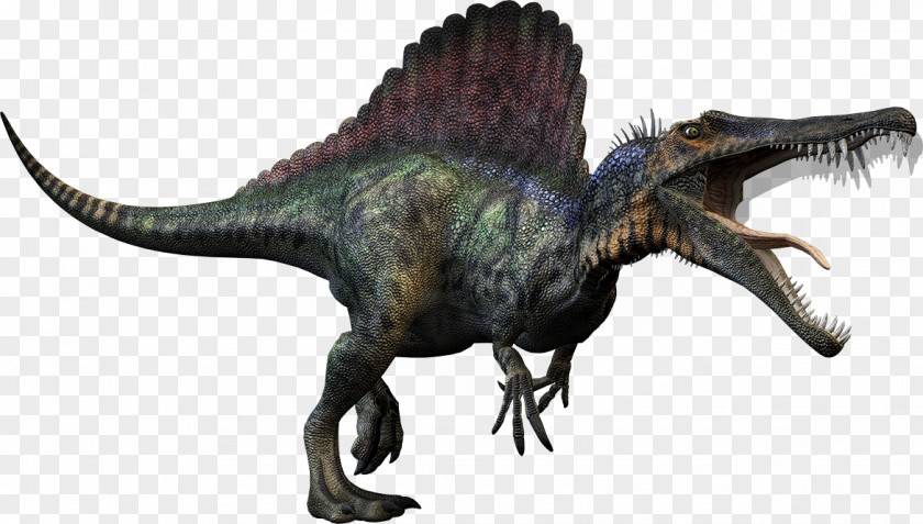 Animal Claws Spinosaurus Tyrannosaurus Giganotosaurus Carnivores: Dinosaur Hunter Carcharodontosaurus PNG