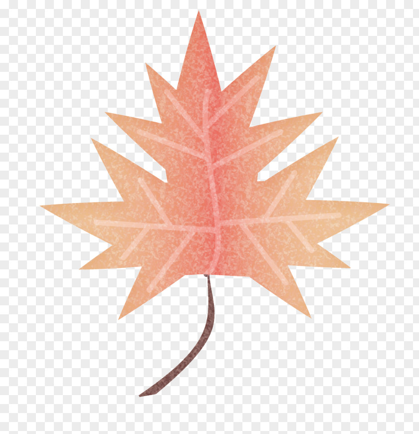 Leaf Maple Symmetry PNG