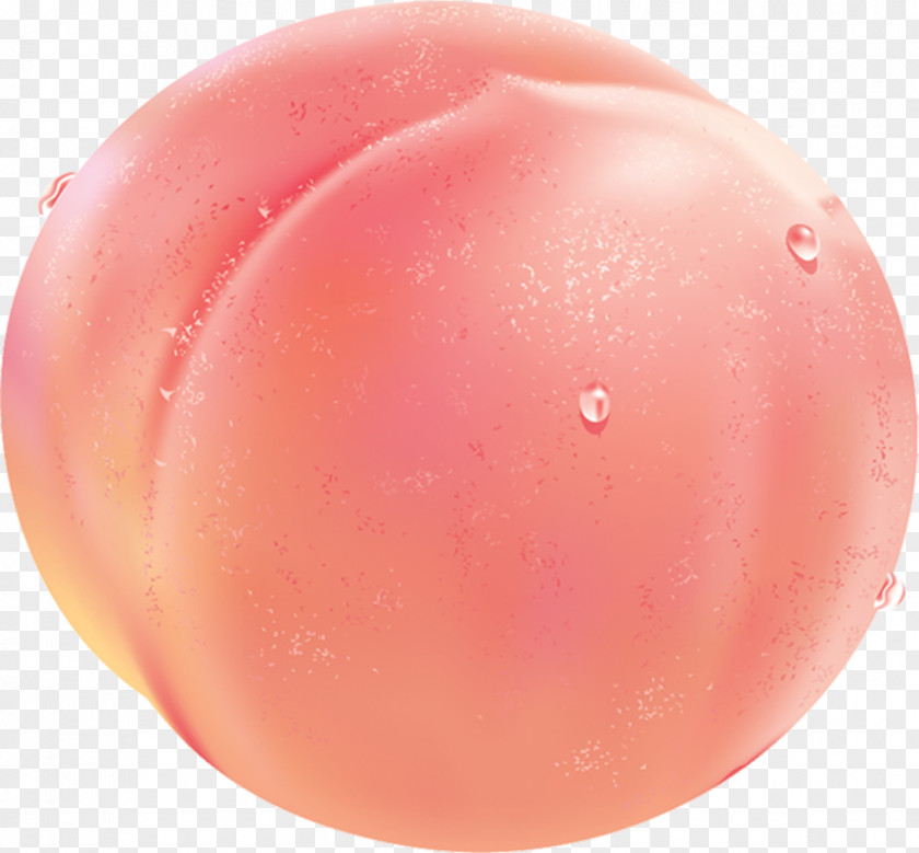 Peach Sphere Fruit PNG