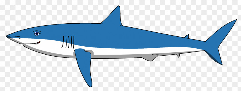 Shark Tiger Requiem Sharks Marine Biology PNG
