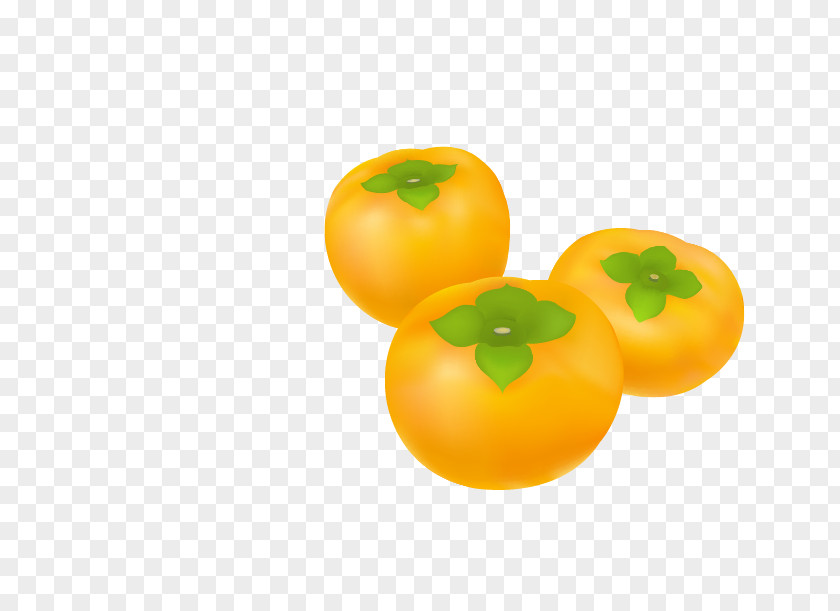 Three Persimmon Clementine Tangerine Tomato PNG