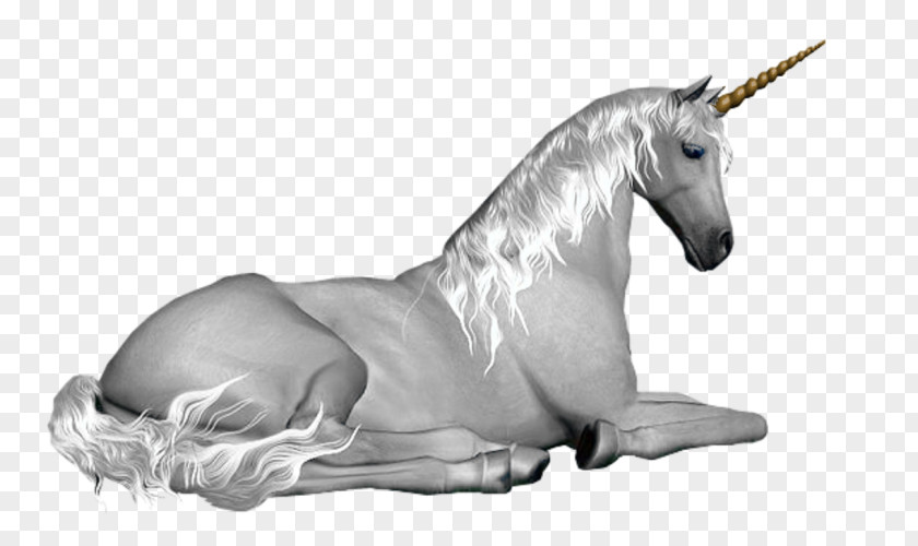 Unicorn GIF Fairy Horse Legendary Creature PNG