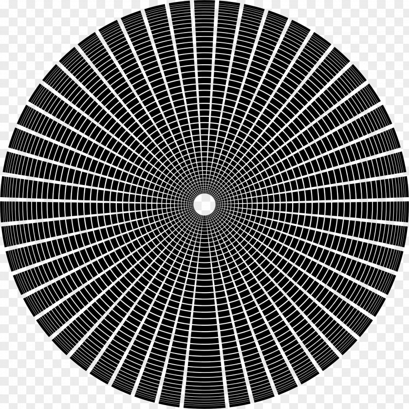 Abstract Circle SVG Animation PNG