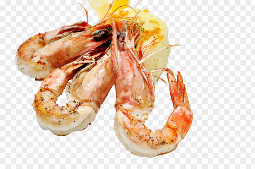 Black Pepper Shrimp European Cuisine Fried Prawn Pandalus Borealis Food PNG