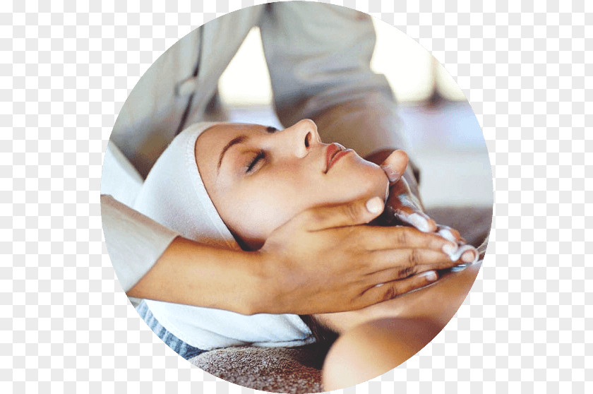 Cosmetology Exfoliation Beauty Learning Massage PNG