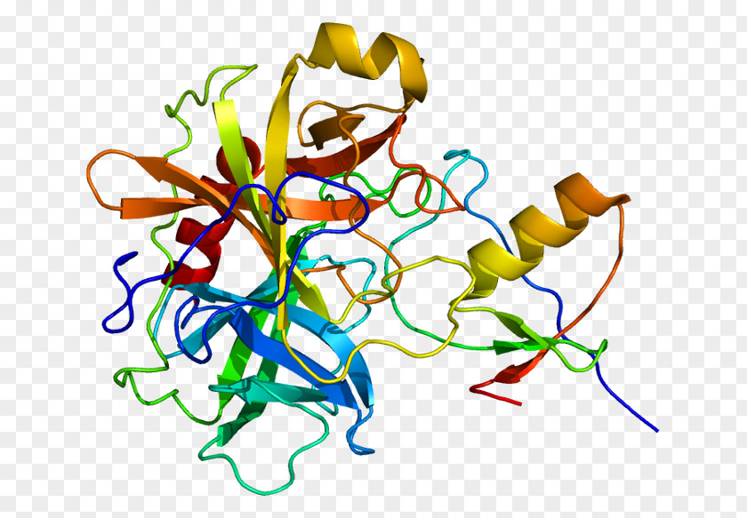 Diabetes Mellitus Homology Modeling Protein Structure Prediction PNG