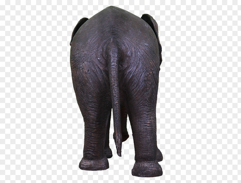 Elephant Motif African Indian Terrestrial Animal Mammal PNG