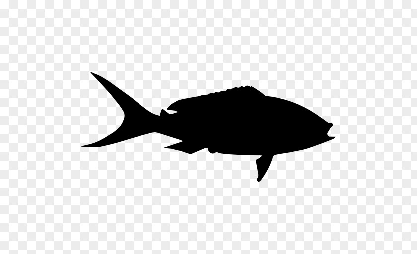 Fish Yellowtail Amberjack Shape Japanese Snapper PNG