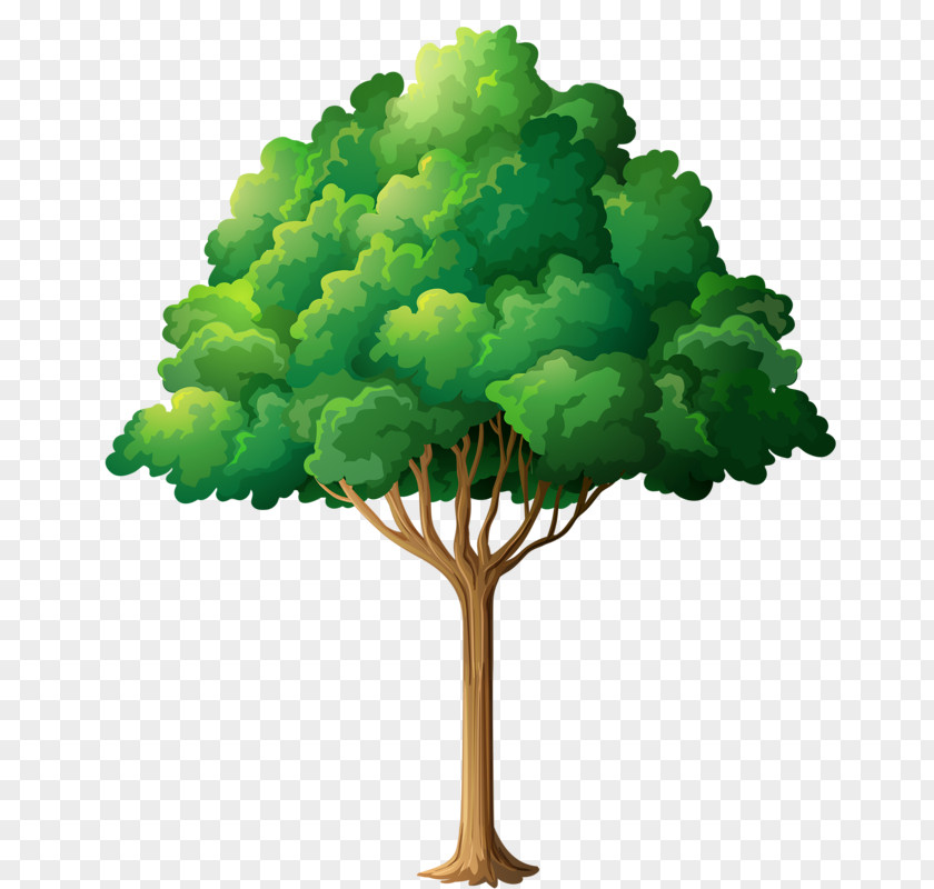 Heart Tree Garden Clip Art PNG