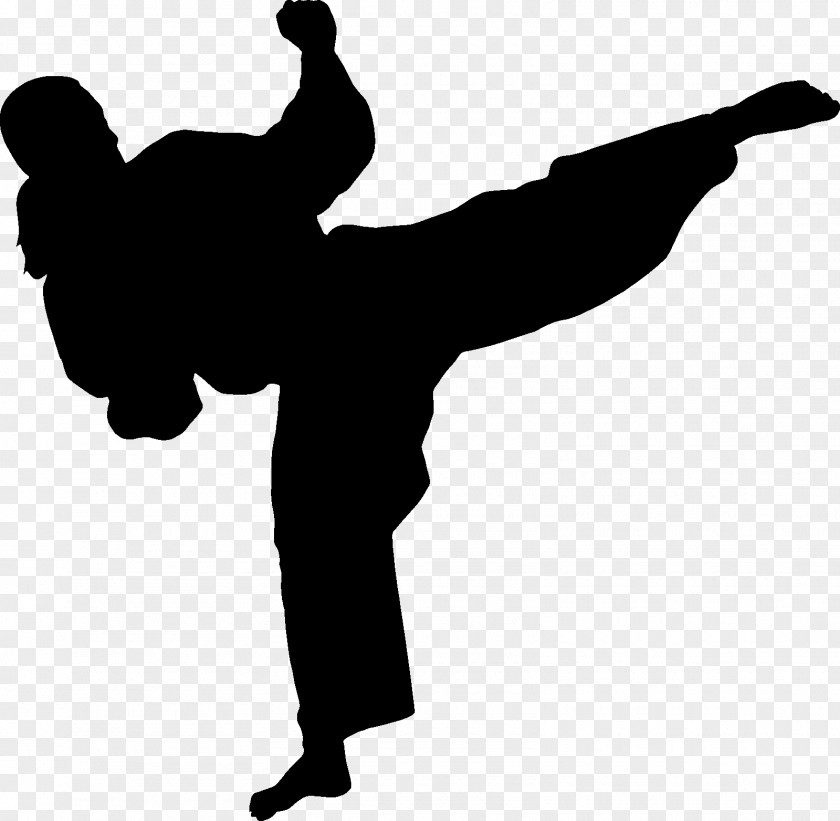 Karate Martial Arts Silhouette Wall Decal Combat PNG