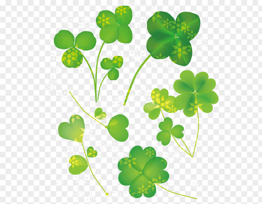 Lovely Clover Plant Vector Material Word Four-leaf Adibide PNG