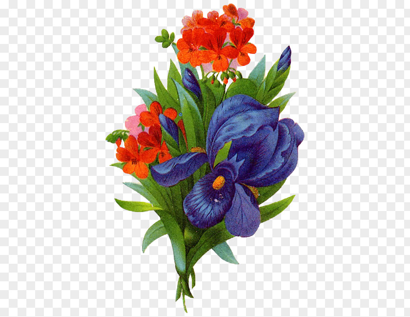 Painted Flowers Flower Faryazan PNG