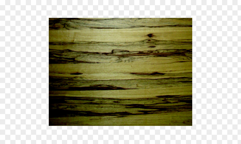 Wood Stain /m/083vt PNG