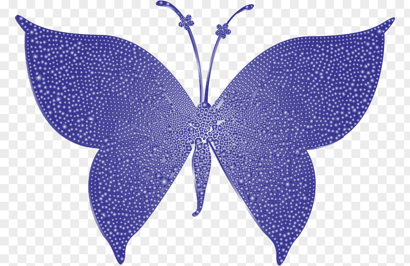 Butterfly Color Violet Moth Clip Art PNG