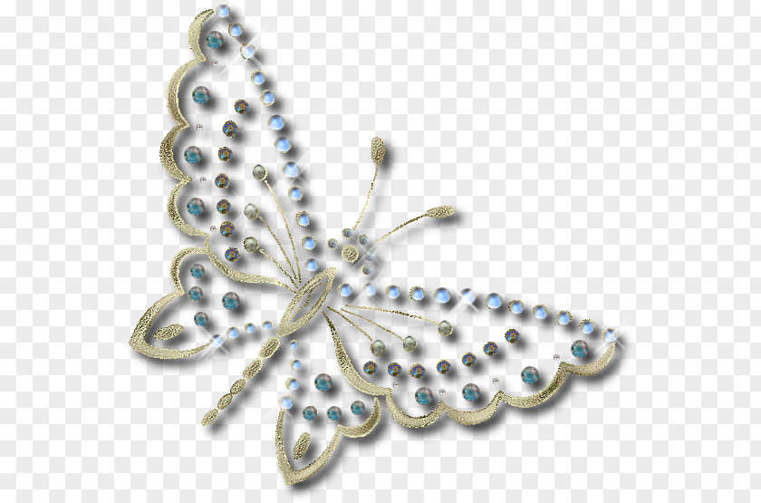 Butterfly Photography Desktop Wallpaper PNG