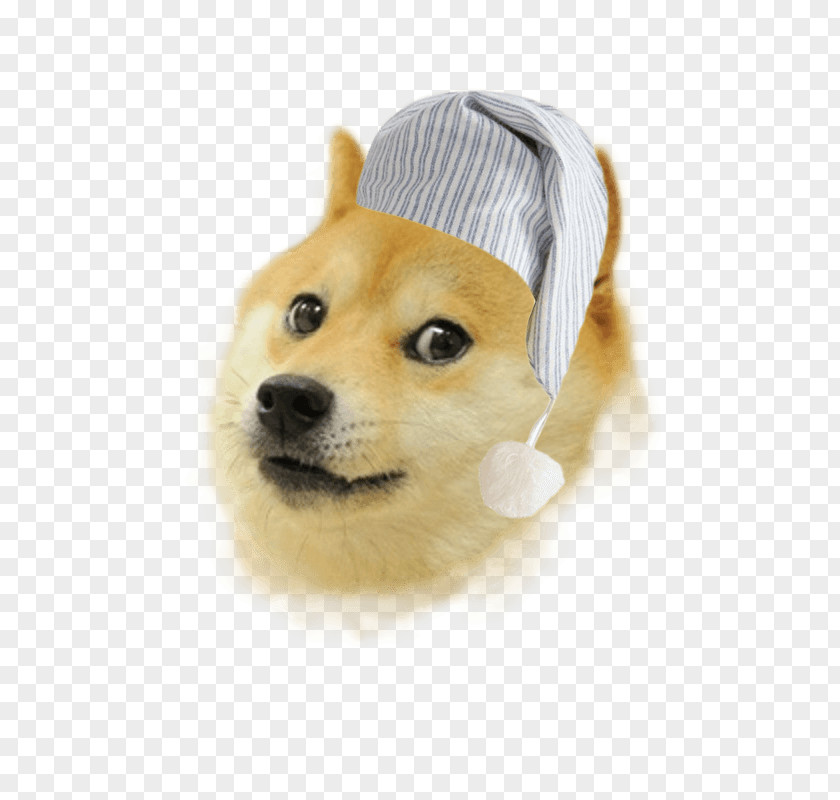 Doge Shiba Inu 0 Warrior Sticker PNG