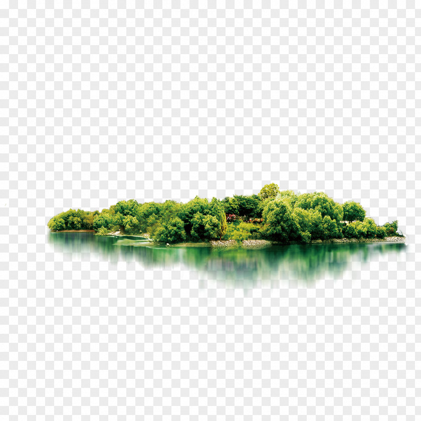 Forest Lake Download Computer File PNG