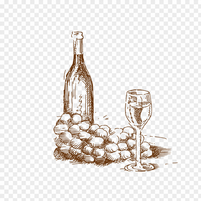 Hand-painted Wine White Common Grape Vine Drawing PNG