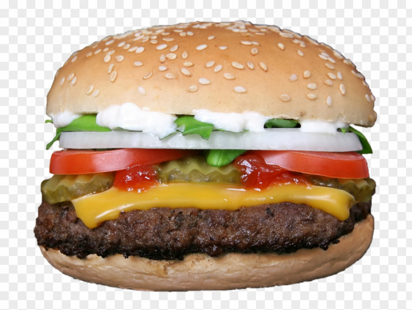 Junk Food Hamburger Fast Cheeseburger McDonald's Big Mac PNG
