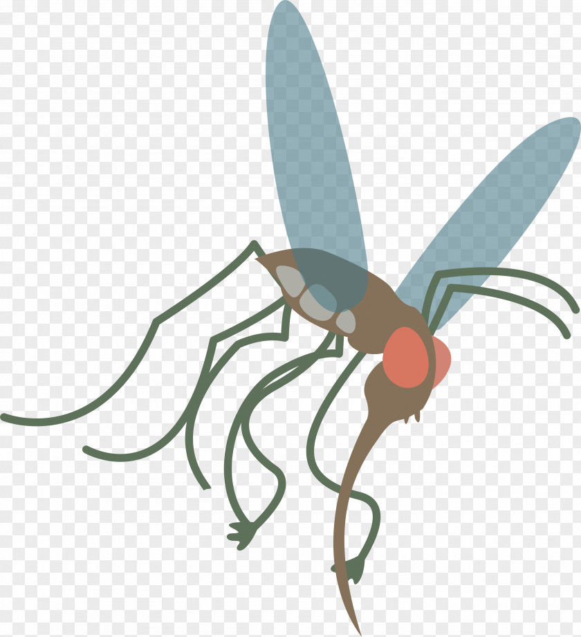 Mosquito Insect Vector Aedes Albopictus PNG