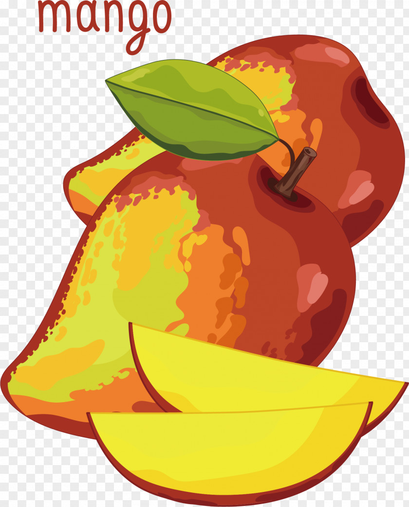 Watercolor Mango Vector Fruit PNG