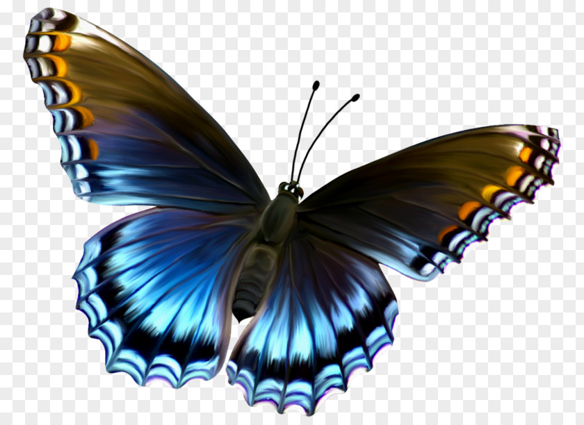 Amazing Butterfly Monarch Blue Clip Art PNG