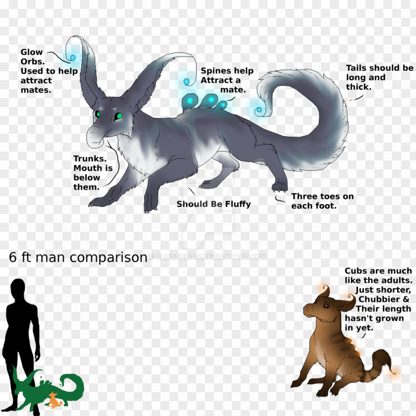 Forever Kitten Breed Cat Dog Fauna Mammal Canidae PNG