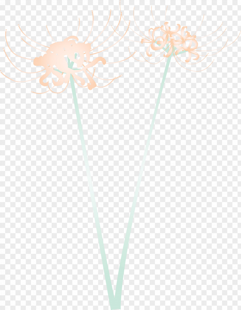 Hurricane Lily Flower PNG