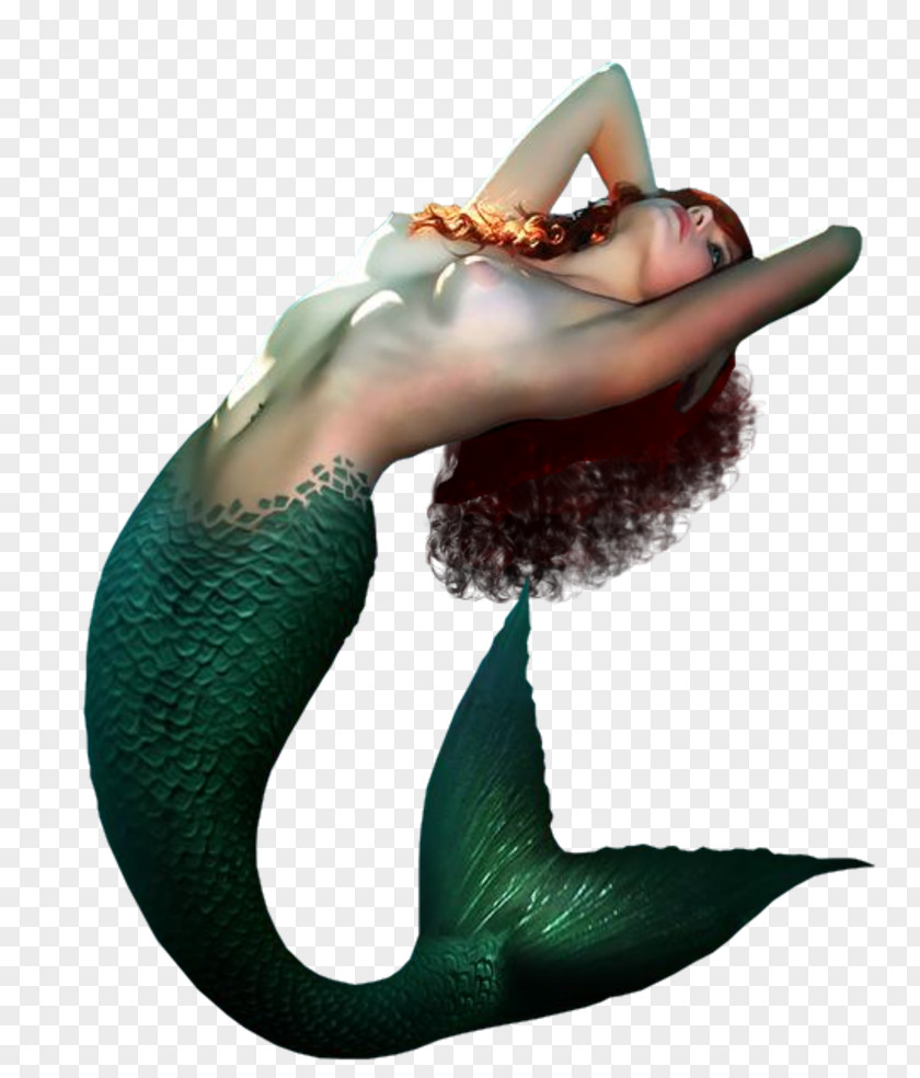 Mermaid Siren PNG