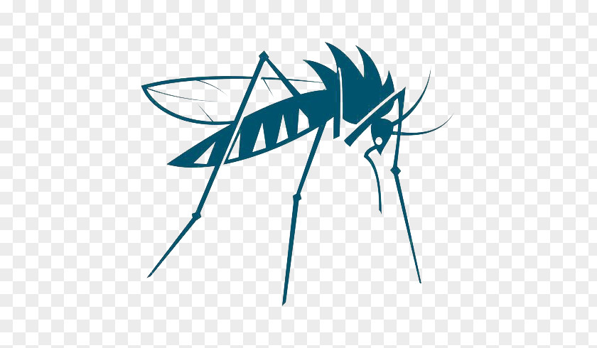 Mosquito Insect Vector Bed Bug PNG