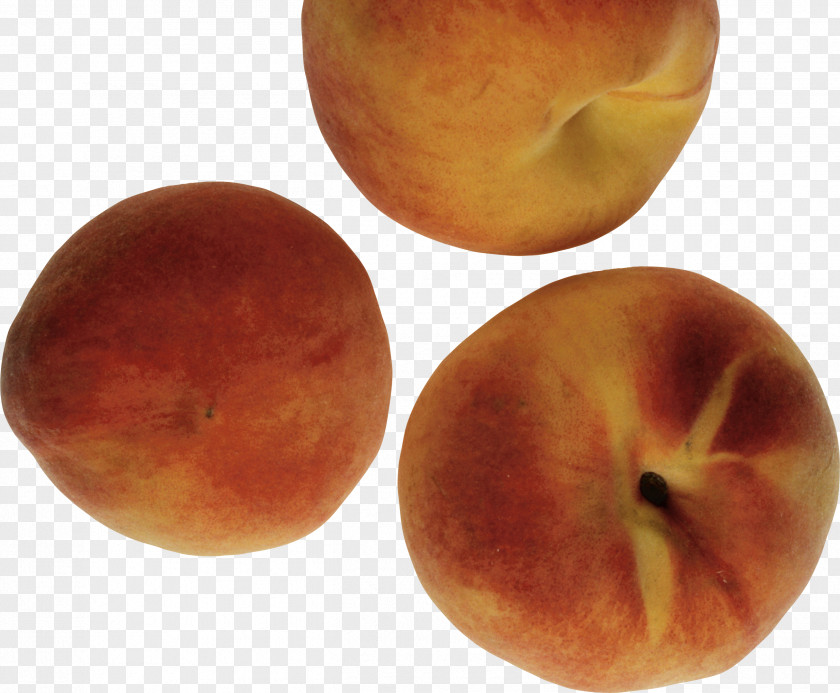 Peach Image Nectarine Graphics Software PNG