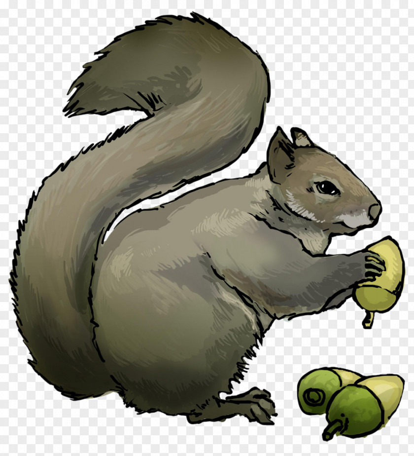 Squirrel Eastern Gray Chipmunk Rodent Clip Art PNG