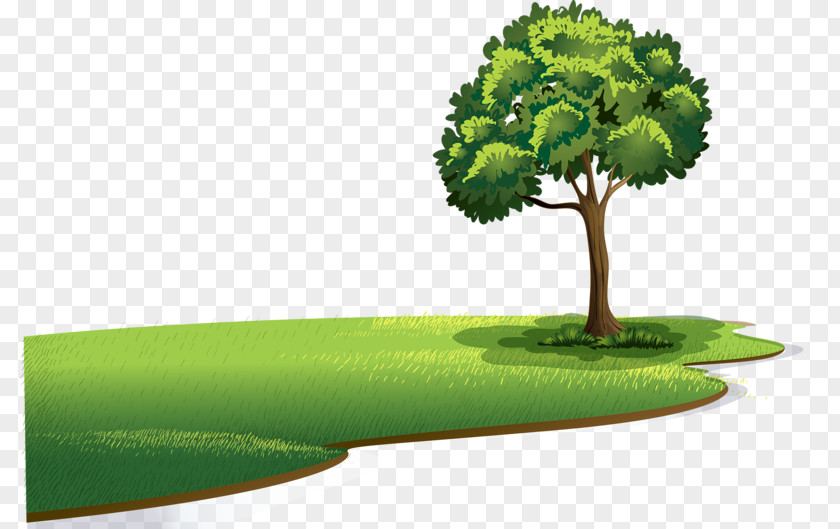 Tree Clip Art Vector Graphics Royalty-free Openclipart PNG