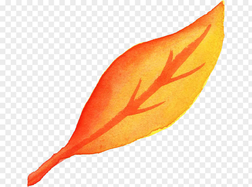 Watercolor Leaves Leaf Painting Orange Yellow PNG