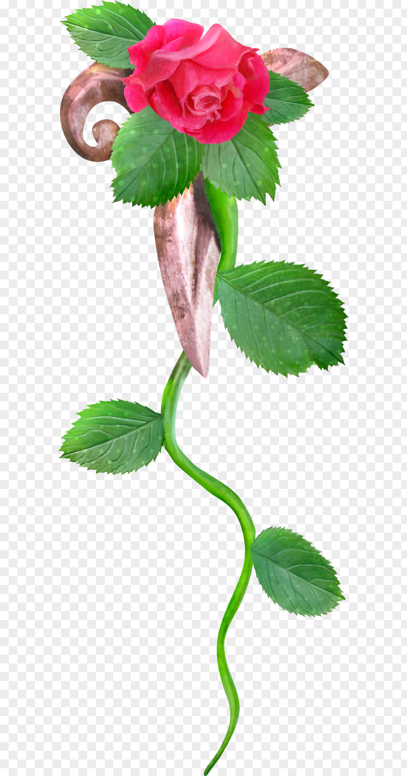 Flower Garden Roses Still Life: Pink Clip Art Image PNG
