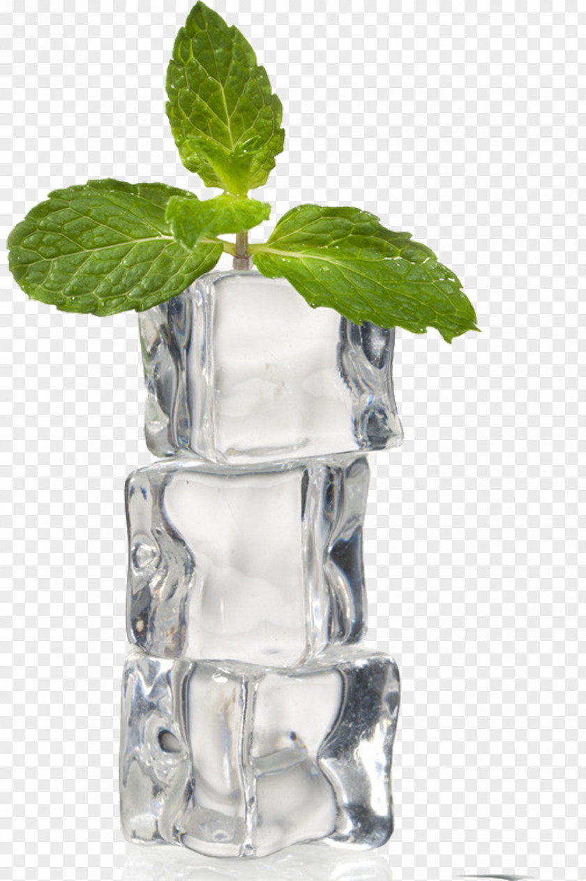 Ice,ice,iceberg,Freeze Ice Cube Mint PNG