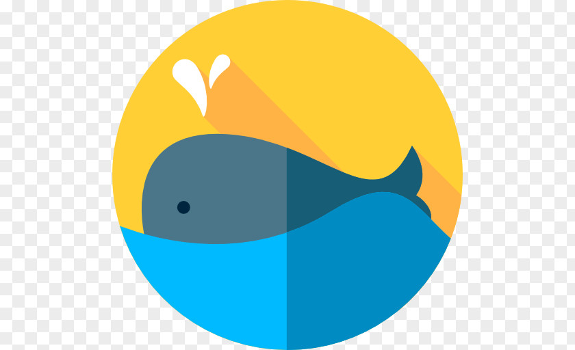 Icon Whale Cetacea Clip Art Marine Biology Mammal PNG