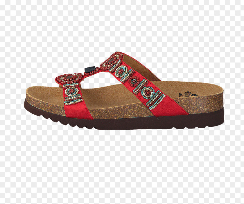 Sandal Flip-flops Shoe Slide Walking PNG