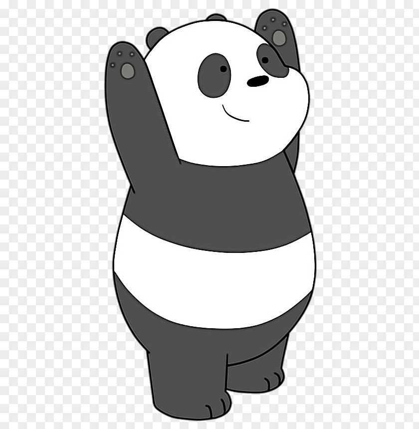 Bear Giant Panda Polar Red Drawing PNG