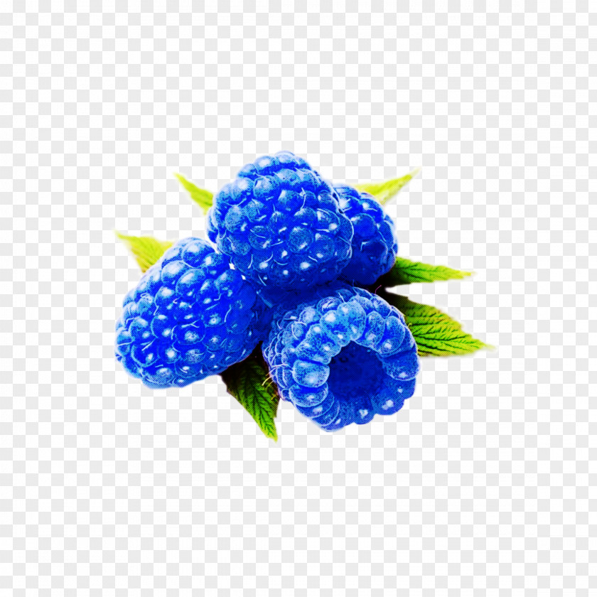 Blue Berry Cobalt Plant Fruit PNG