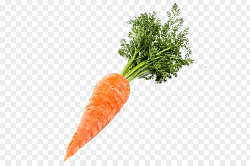 Carrot Baby Stock Photography PNG