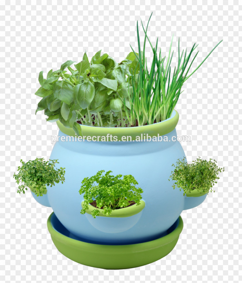 Herb Flowerpot Cutting Leaf Vegetable White PNG