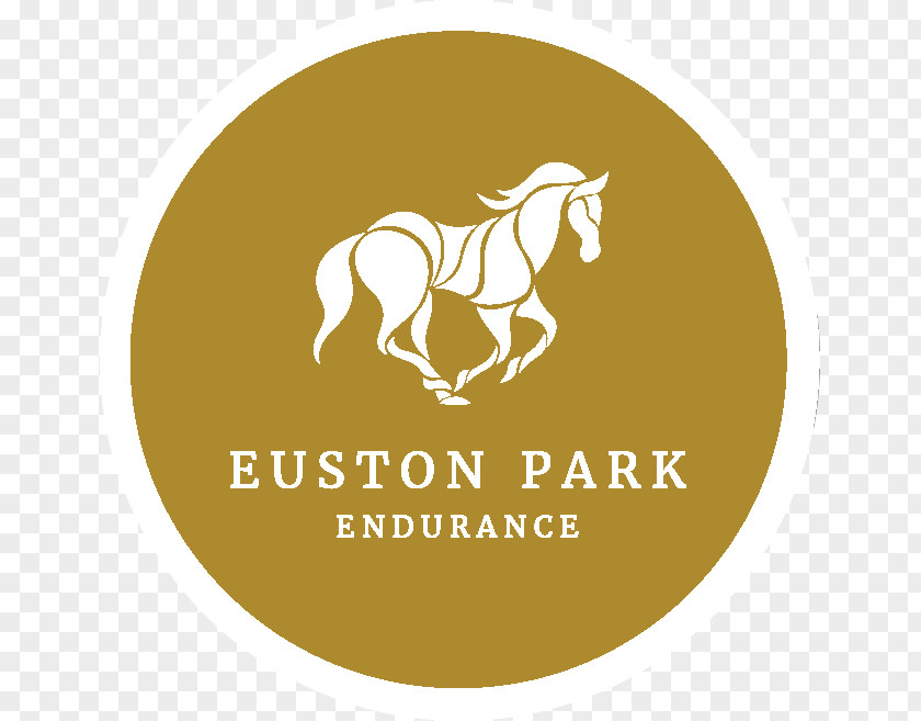 Mustang Euston Railway Station Endurance Riding 四谷 津乃國屋 Funeral PNG