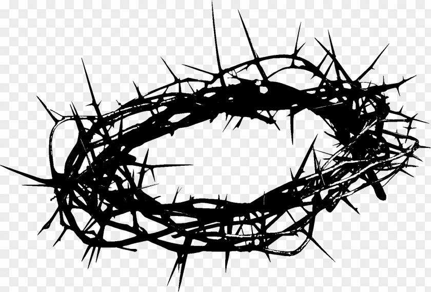 Thorns Crown Of Christianity Thorns, Spines, And Prickles Gospel Clip Art PNG